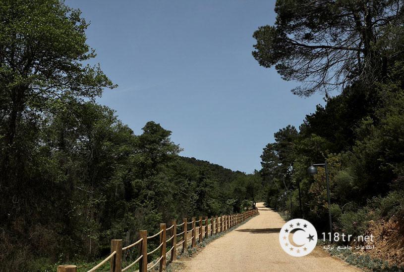 پارک جنگلی آتاتورک استانبول 13 پارک جنگلی آتاتورک استانبول 10